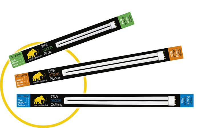 TCL Bulbs